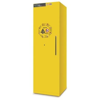 Bordogna Gefahrstoffschrank BAC 60