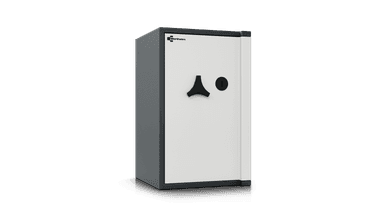 Wertheim Wertschutzschrank AL20